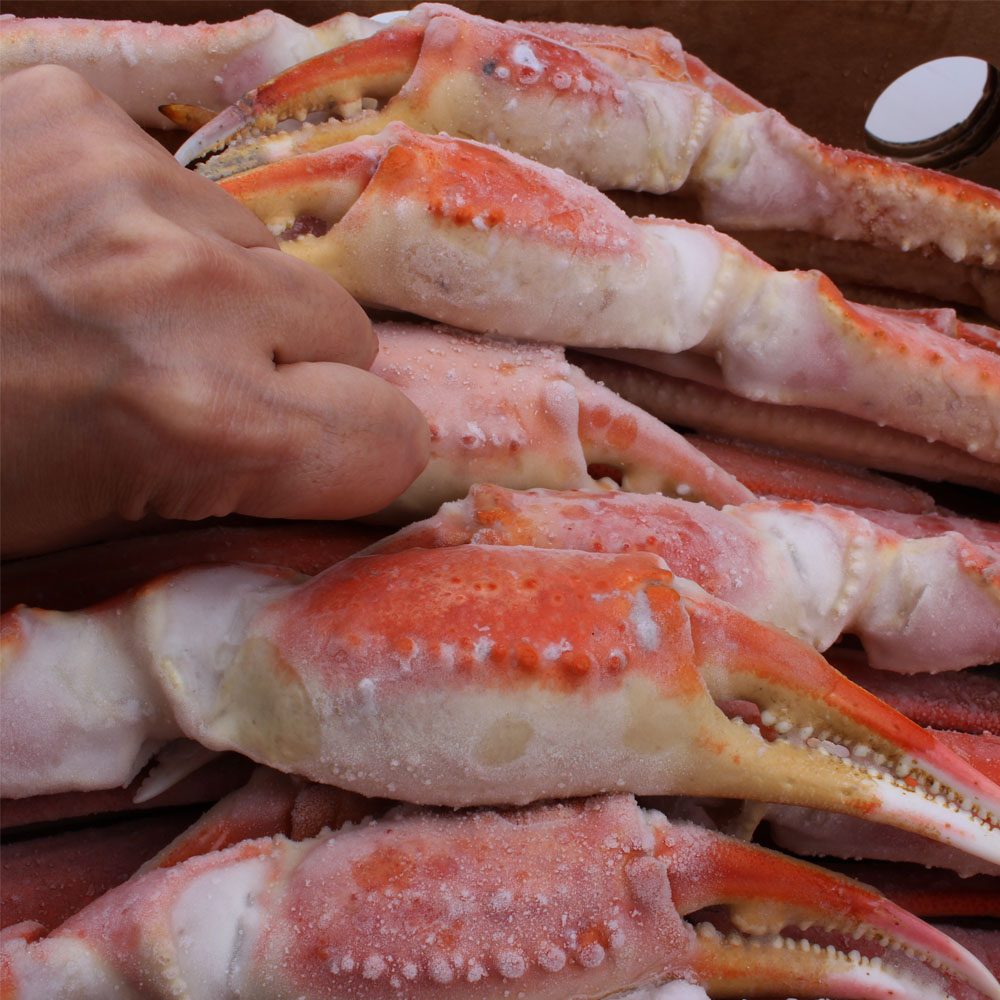 스노우크랩 5kg 러시아대게 냉동 자숙 마가단 대게  L-4L - 상세 이미지 2