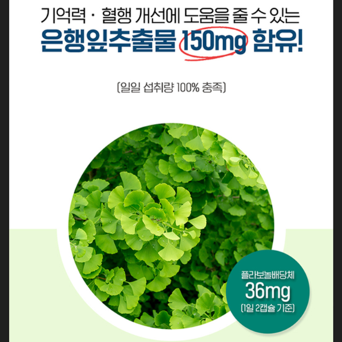 닥터브라이언 포스파티딜세린 징코 30캡슐 2박스 1개월 은행잎추출물 비타민E 인지 기억력 - 상세 이미지 3