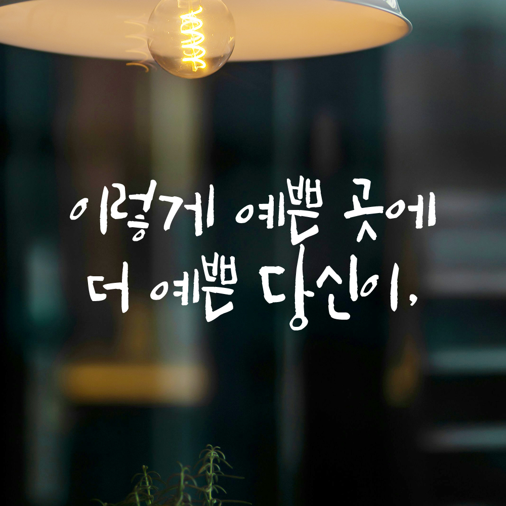 인테리어 포인트 그래픽 캘리그라피 레터링 스티커 이렇게 예쁜 곳에 더 예쁜 당신이 LC-047S 검정 - 상세 이미지 2