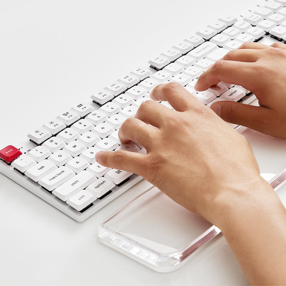 제품 비교 이미지