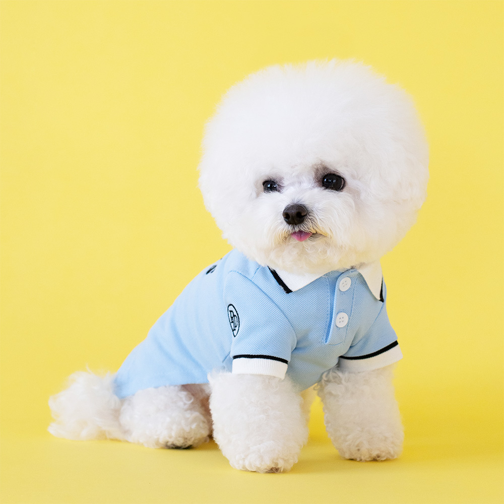 강아지 카라 티셔츠 실내복 강아지옷 올웨이즈 이미지 2