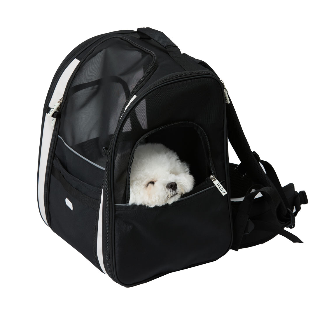 일로 지오백 강아지 백팩 기내용 반려견 이동가방 안전벨트 카시트 소형견 중형견 이동장