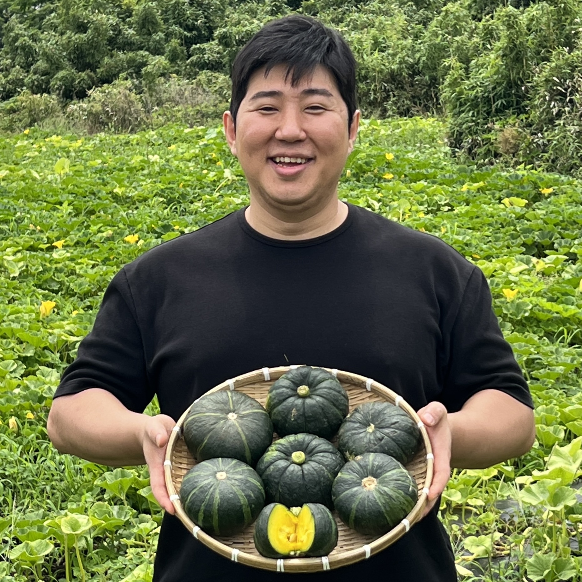 미니밤호박 미니단호박 제주 보우짱 보짱