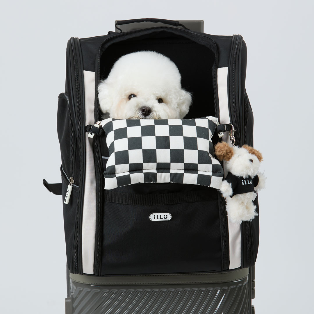 일로 지오백 강아지 백팩 기내용 반려견 이동가방 안전벨트 카시트 소형견 중형견 이동장
