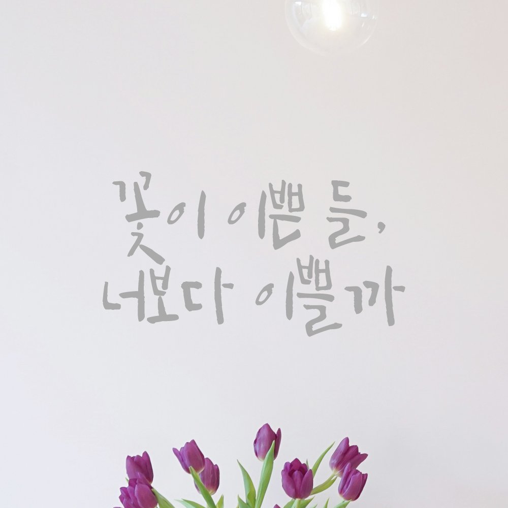 인테리어 포인트 그래픽 캘리그라피 레터링 스티커 꽃이 이쁜 들 너보다 이쁠까 LC-048S 검정 - 상세 이미지 3