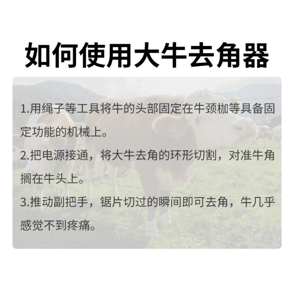 전동 녹용 황소 소뿔 절단기 탈각기 스탬퍼 커팅기 - 상세 이미지 5