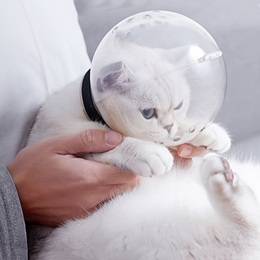 고양이 입마개 물림 긁힘 방지 투명 반려동물 보호 커버 그루밍 덮개 - 메인 이미지