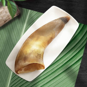 대형견간식 소뼈 강아지뼈간식 강아지 소뿔껌 M 특식 솔직 후기 | 실제 사용자 리뷰 총정리 - 상품 이미지 1