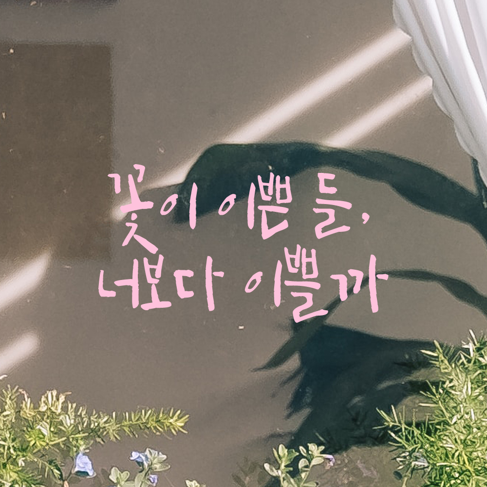 인테리어 포인트 그래픽 캘리그라피 레터링 스티커 꽃이 이쁜 들 너보다 이쁠까 LC-048S 검정 - 상세 이미지 4