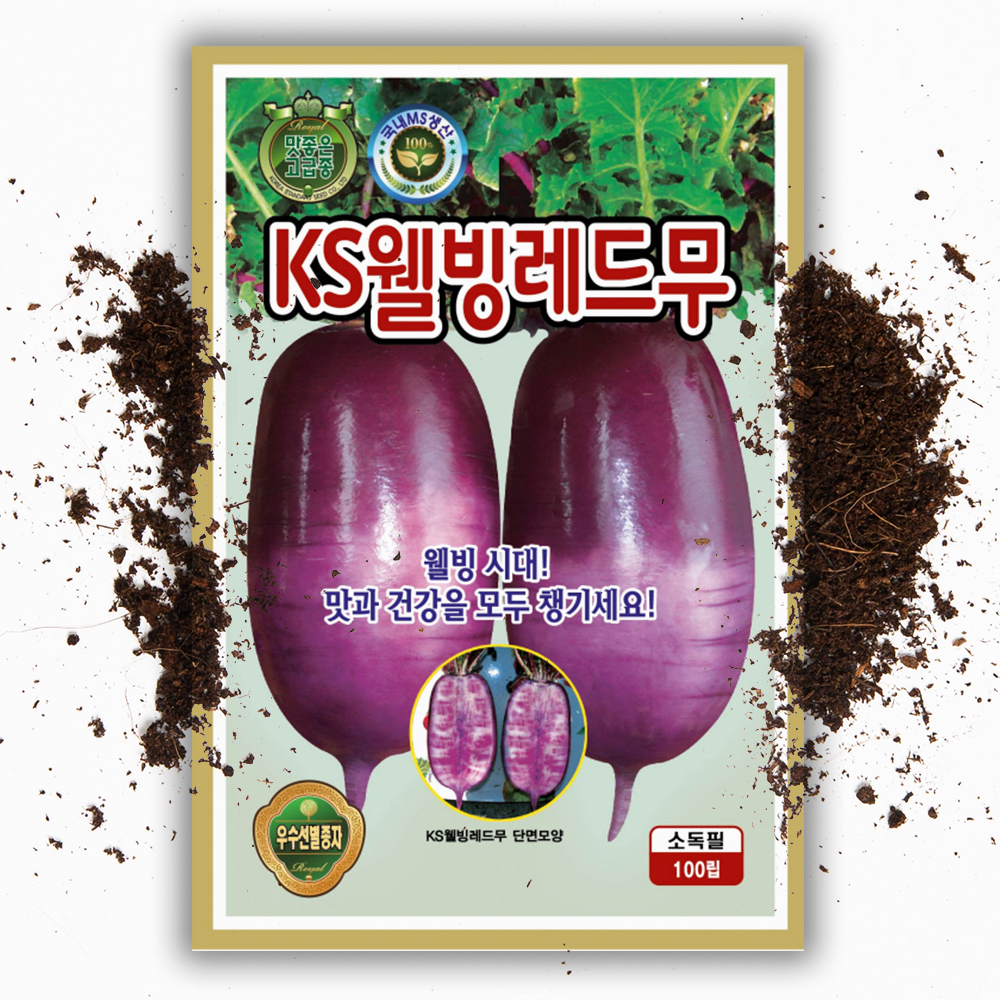 자색무 씨앗 웰빙레드 100립 국내채종 보라색 보라무 씨앗 이색 무 종자 무우 - 상품 이미지