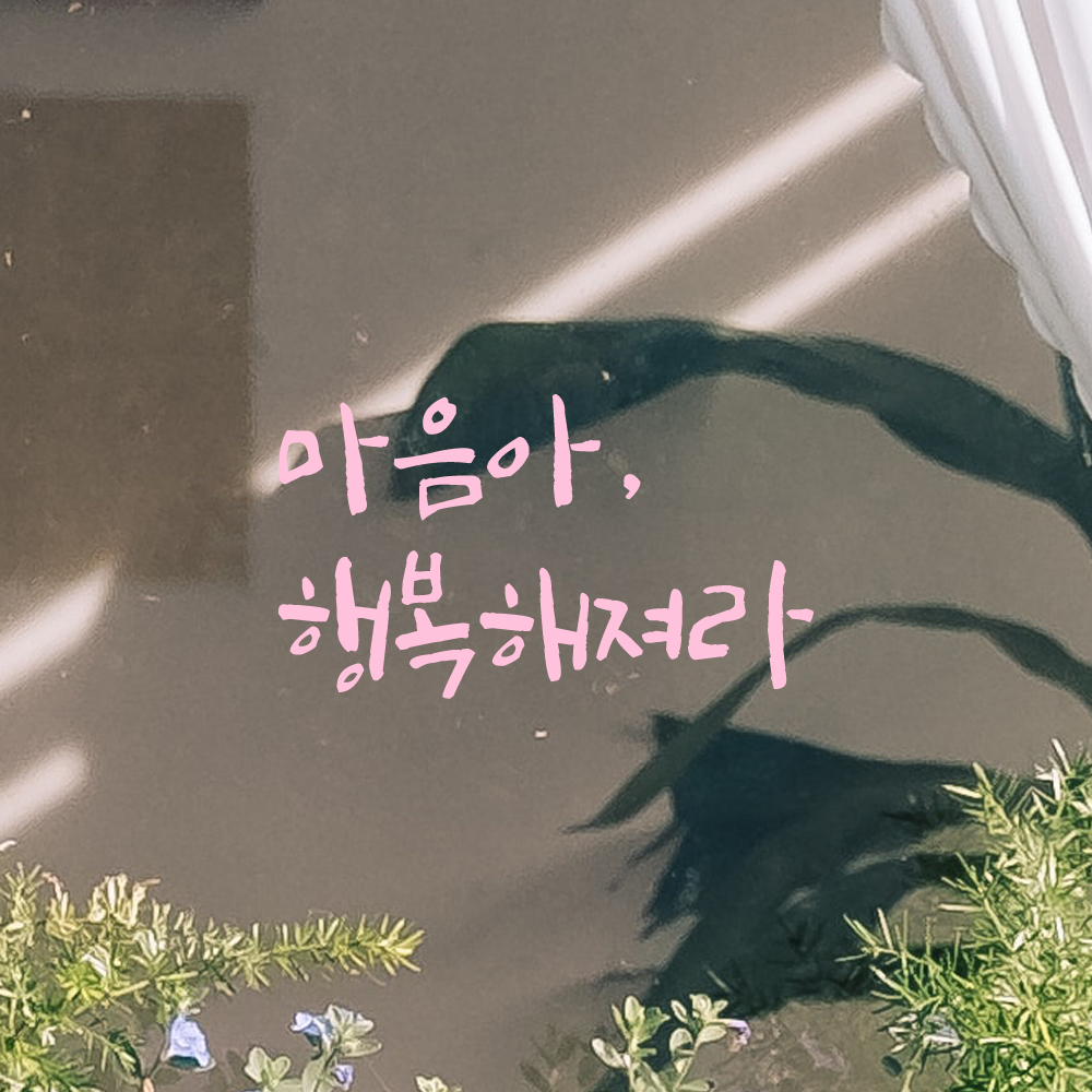 감성 캘리그라피 레터링 스티커 마음아 행복해져라 검정S 14x7.5cm 카페 거울 인테리어 - 상세 이미지 4