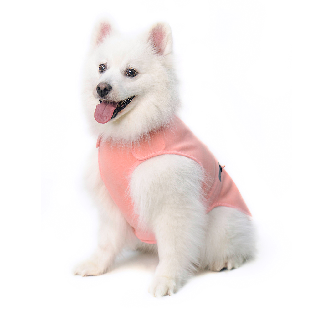 하웃 강아지 실내복 조끼 해충방지옷 에코가드 나시티