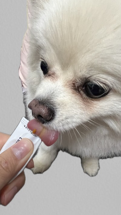 강아지 눈 영양제 페노비스 오메가3 눈물 피부 기침 종합 액상 보조제 종합 30포 이미지 4