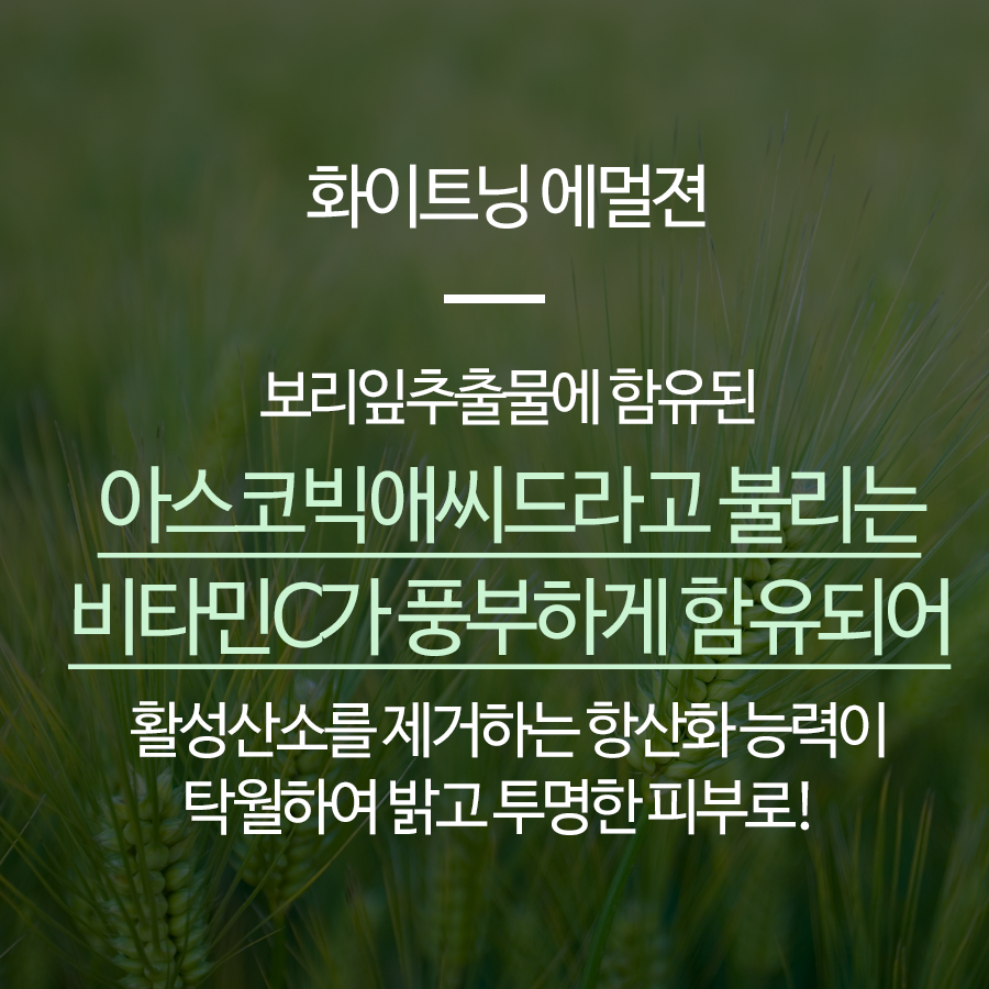 비타민사이언스 미백 5종 세트 여성기초 보습 건성 영양 이미지 6