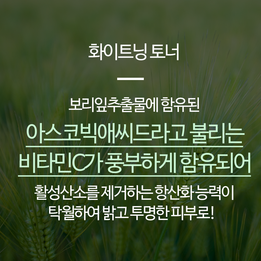 비타민사이언스 미백 5종 세트 여성기초 보습 건성 영양 - 상세 이미지 4