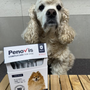 강아지 눈 영양제 페노비스 오메가3 눈물 피부 기침 종합 액상 보조제 종... 솔직 후기 | 실제 사용자 리뷰 총정리 - 상품 이미지 3