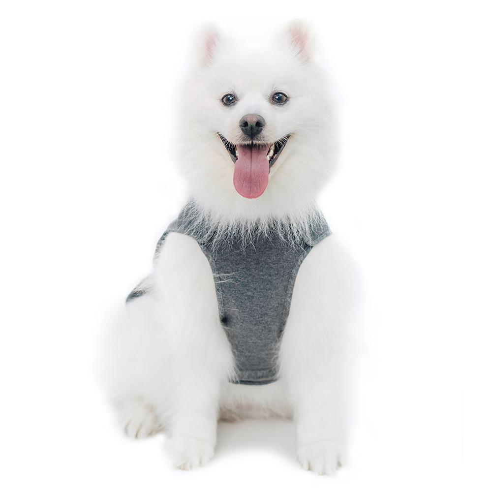 하웃 강아지 실내복 조끼 해충방지옷 에코가드 나시티