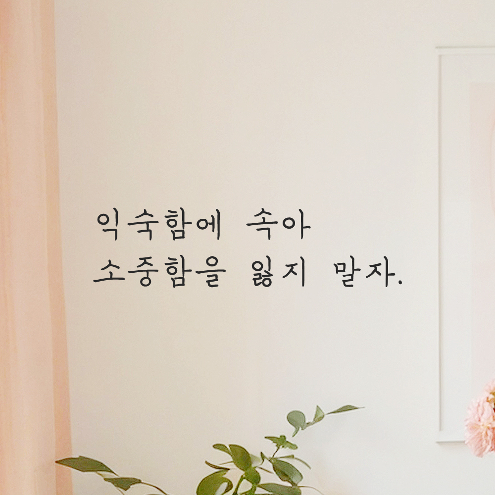 인테리어 포인트 그래픽 감성 손글씨 레터링 스티커 익숙함에 속아 소중함을 잃지 말자 LH-030S 검정 이미지 8