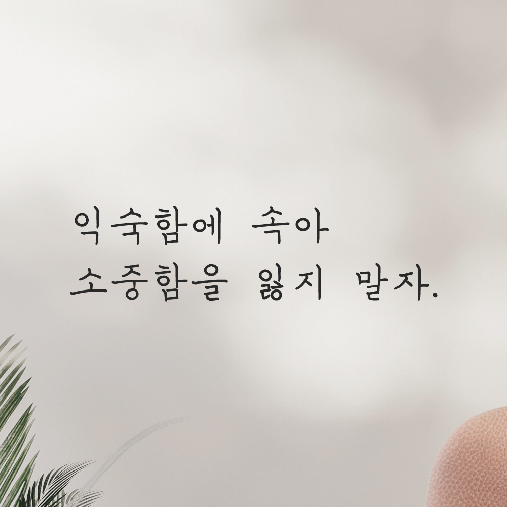인테리어 포인트 그래픽 감성 손글씨 레터링 스티커 익숙함에 속아 소중함을 잃지 말자 LH-030S 검정 - 상세 이미지 5