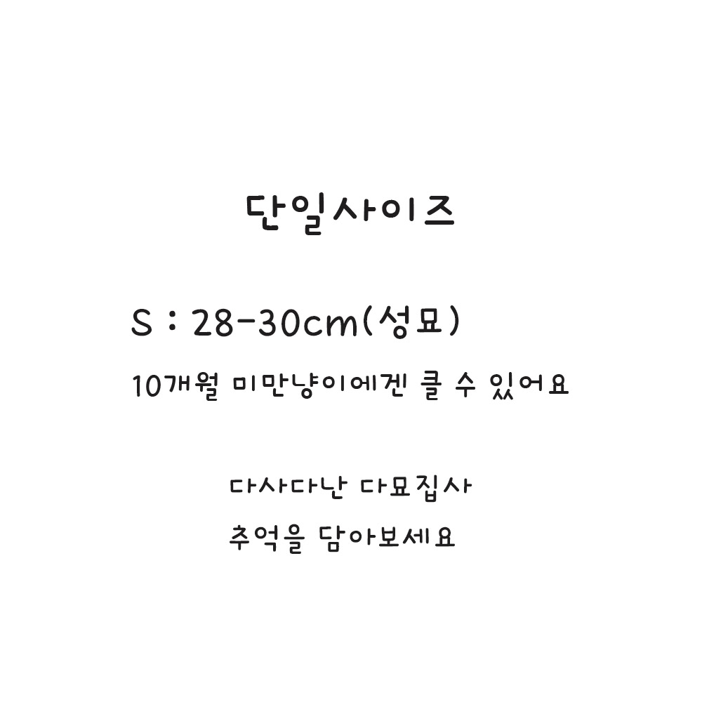 다묘집사 고양이 기본 보타이 이미지 6