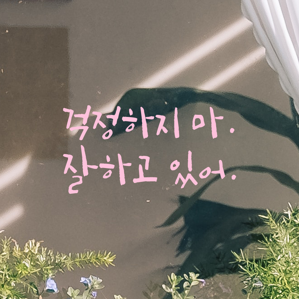 인테리어 포인트 그래픽 캘리그라피 레터링 스티커 걱정하지 마 잘하고 있어 LC-060S 검정 - 상세 이미지 4