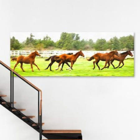 [꾸밈] cv379-제주도경마목장_달리는말_대형노프레임