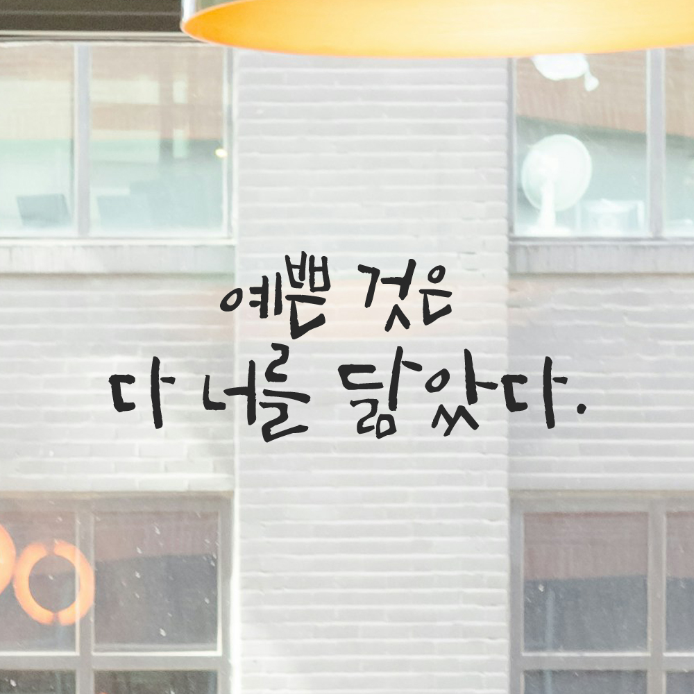 인테리어 포인트 그래픽 캘리그라피 레터링 스티커 예쁜 것은 다 너를 닮았다 LC-061S 검정 이미지 8