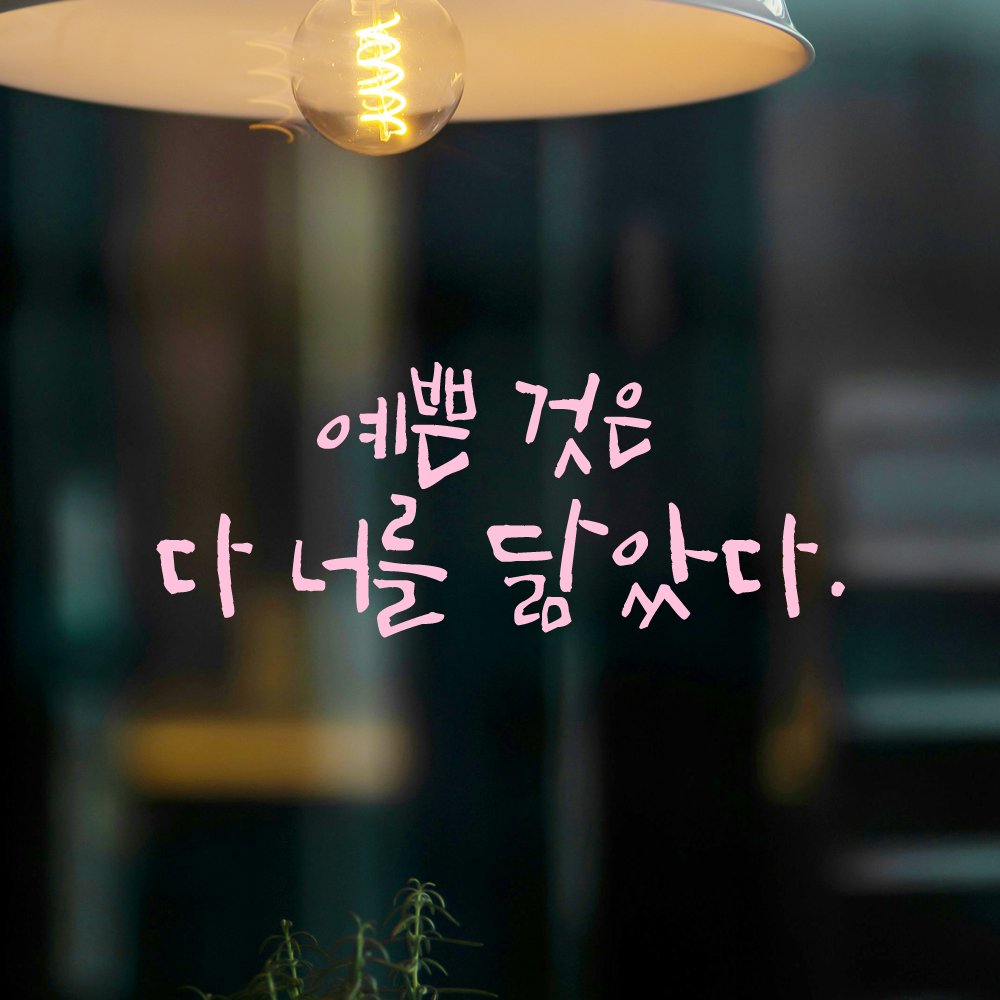 인테리어 포인트 그래픽 캘리그라피 레터링 스티커 예쁜 것은 다 너를 닮았다 LC-061S 검정 - 상세 이미지 4