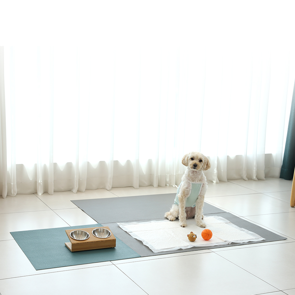 강아지 고양이 애견 미끄럼방지 매트 슬개골탈구 방지 패드 69.5x58cm - 상세 이미지 5