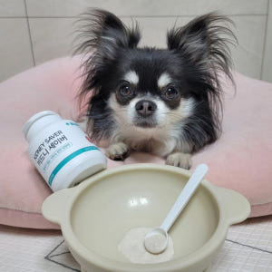 강아지 신장 영양제 방광염 신부전 요로 결석 방광 키드니세이버 1개입, ... 솔직 후기 | 실제 사용자 리뷰 총정리 - 상품 이미지 3