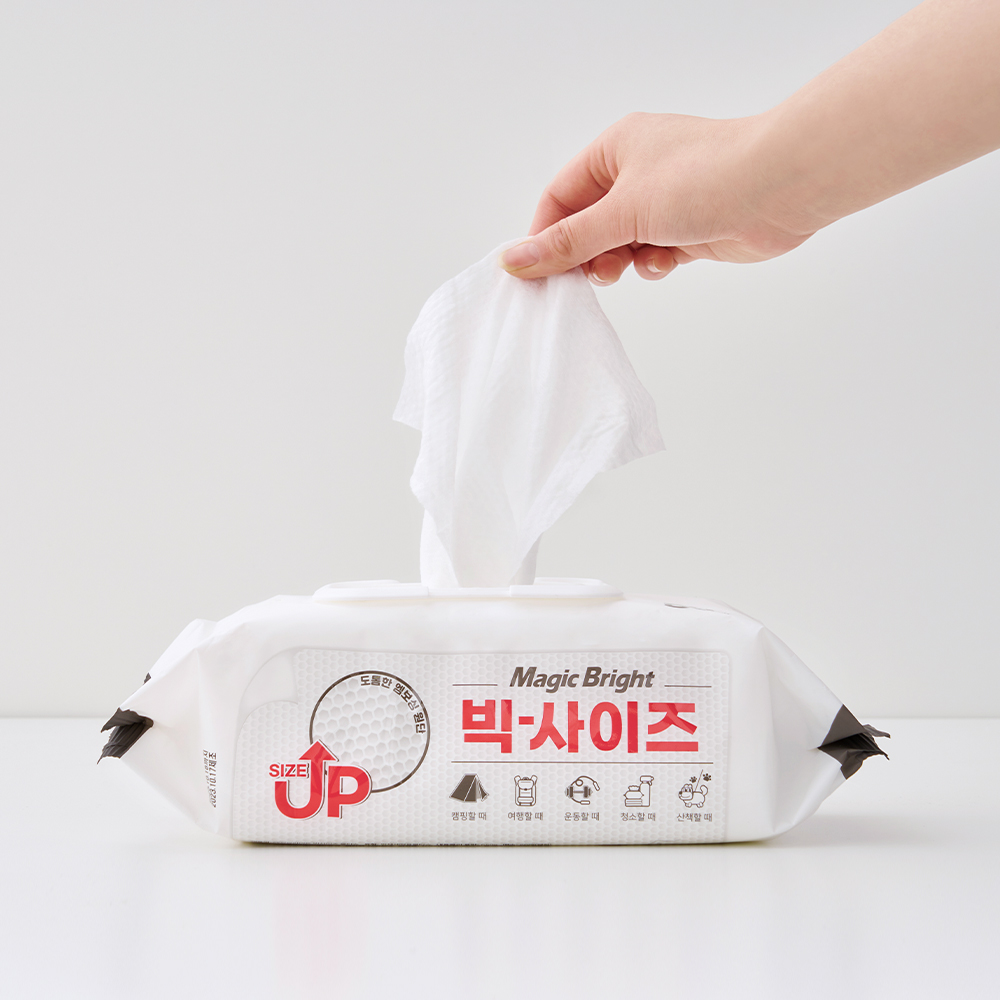 빅사이즈 물티슈 대형 도톰한 대용량 두꺼운 엠보싱 10팩 20팩 캡형 80매, 10개 상품 이미지