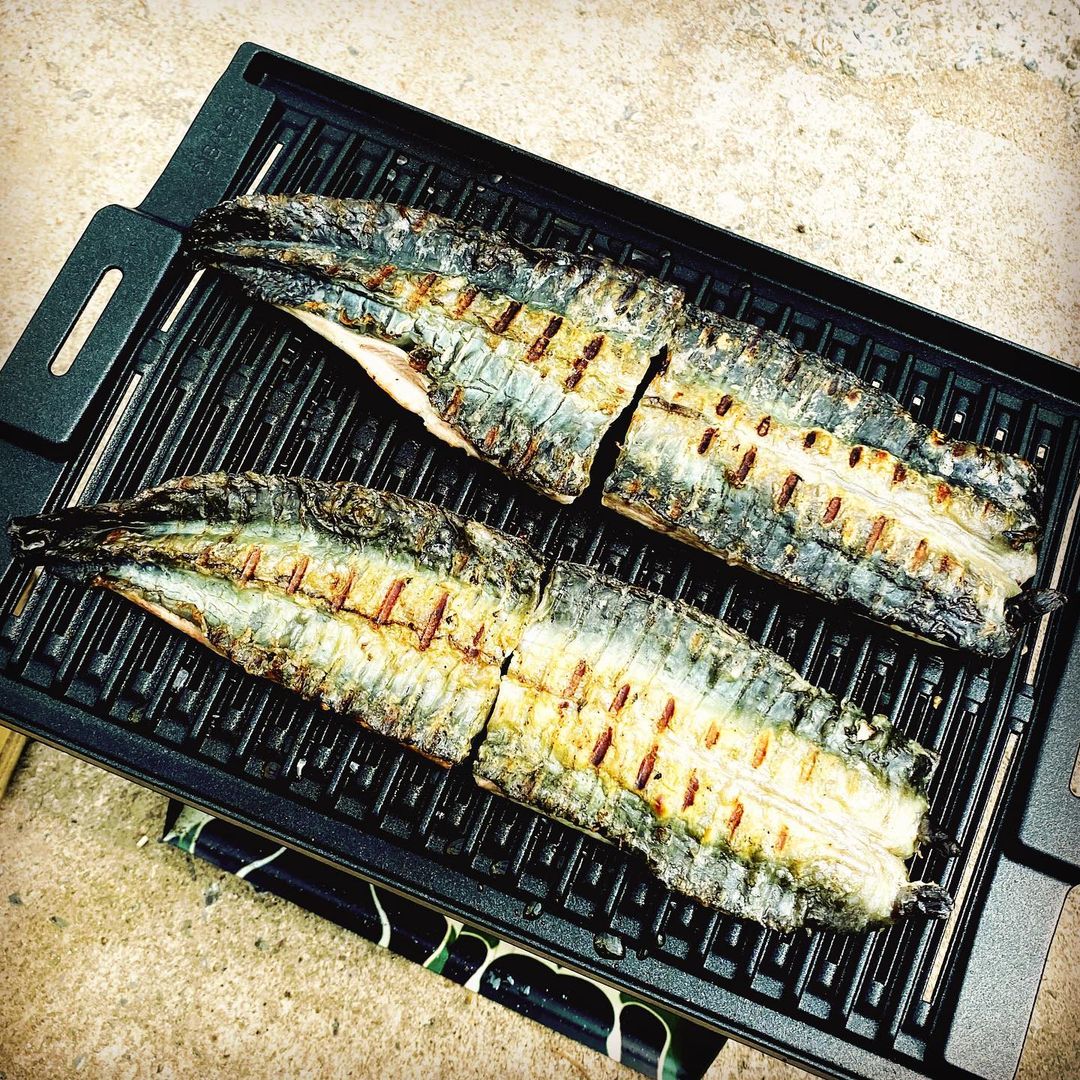 디바디바 바베큐그릴 캠핑그릴 불판 야외바베큐 숯불 석쇠 450 콜맨 파이어플레이스3