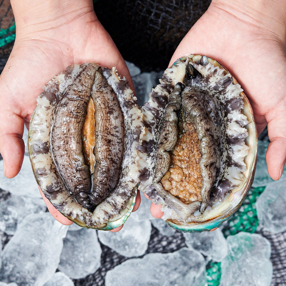 완도 산지직송 활전복 1kg - 상세 이미지 2