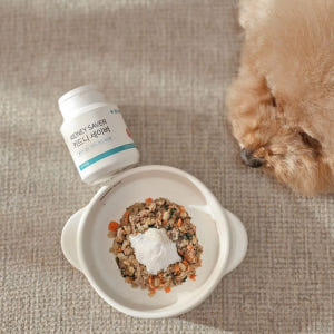 강아지 신장 영양제 방광염 신부전 요로 결석 방광 키드니세이버 1개입, ... 솔직 후기 | 실제 사용자 리뷰 총정리 - 상품 이미지 4