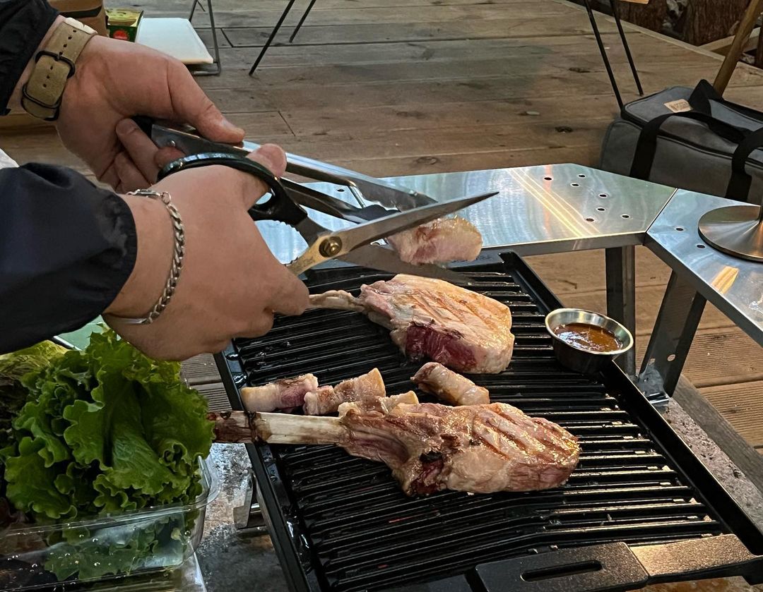 디바디바 바베큐그릴 캠핑그릴 불판 야외바베큐 숯불 석쇠 450 콜맨 파이어플레이스3