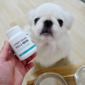 강아지 신장 영양제 방광염 신부전 요로 결석 방광 키드니세이버 1개입, ... 솔직 후기 | 실제 사용자 리뷰 총정리 - 상품 이미지 2