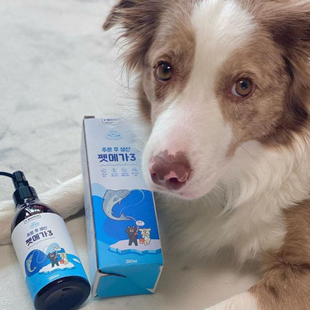 바이오펫츠 강아지 오메가3 심장 피부 영양제 펫메가3 150ml 일반배송 — 어떤 반려견에게 이 영양제가 필요할까요?