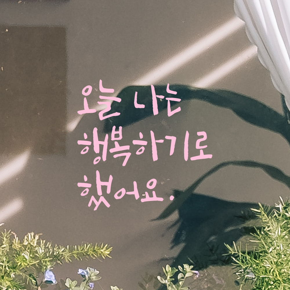 인테리어 포인트 그래픽 캘리그라피 레터링 스티커 오늘 나는 행복하기로 했어요 LC-063S 검정 - 상세 이미지 4