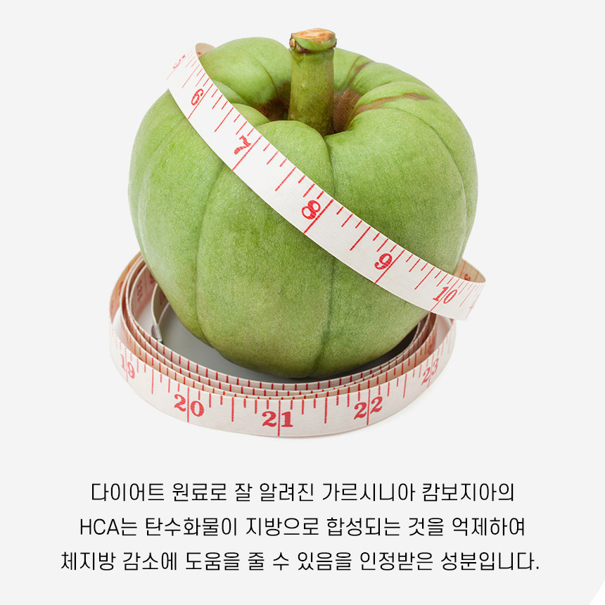 김소형 원방 슬림핏 다이어트 환 플러스 가르시니아캄보지아 차전자피 2박스 이미지 6
