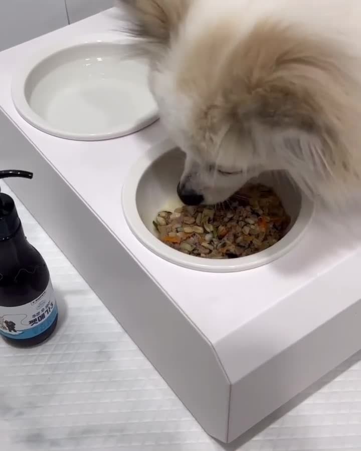 바이오펫츠 강아지 오메가3 심장 피부 영양제 펫메가3 150ml 일반배송 — 마무리