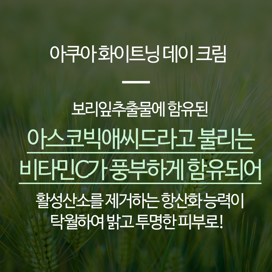비타민사이언스 지성 미백 3종세트 바이타 C 화이트닝 토너+세럼+수분크림 기미잡티 이미지 8