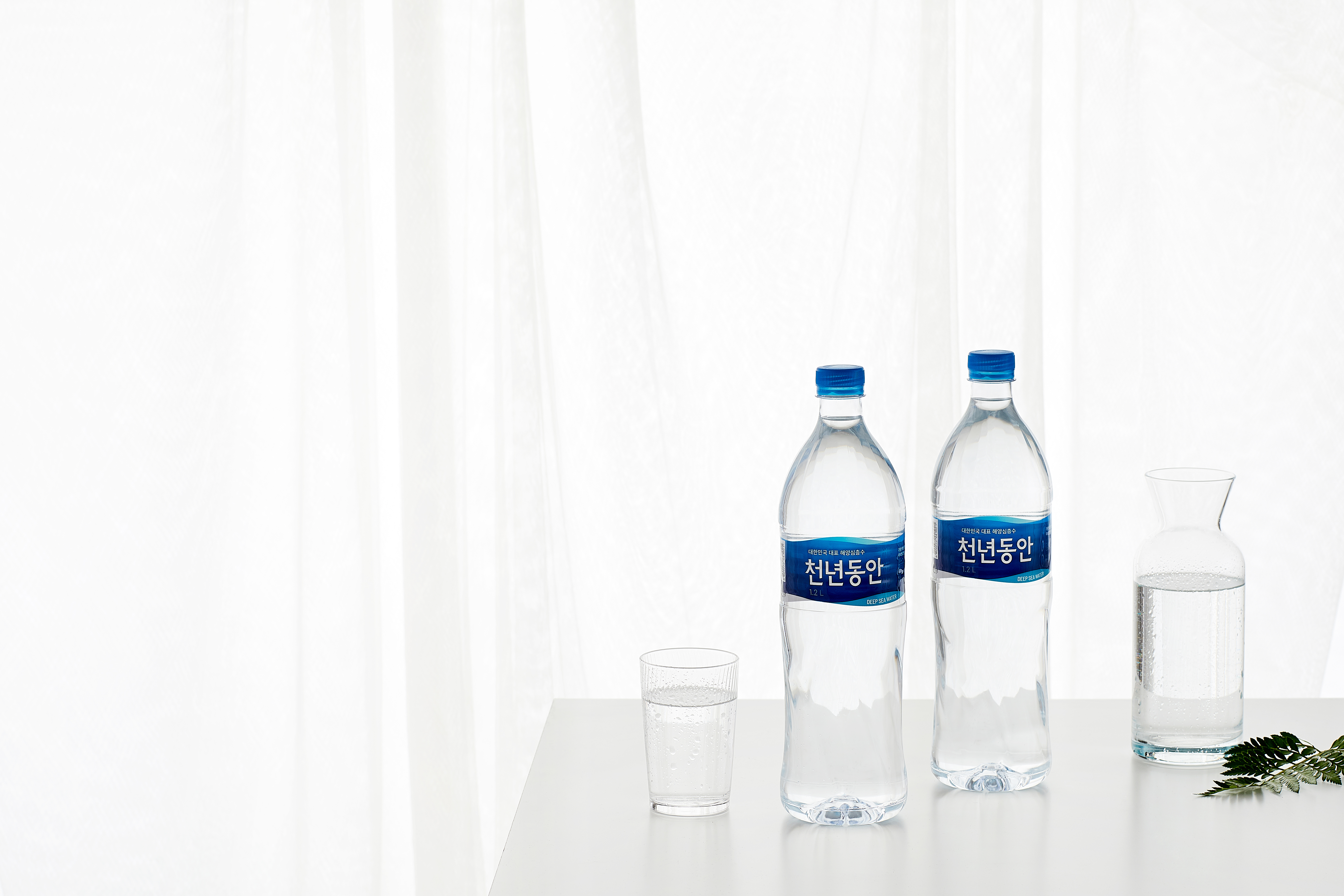 천년동안 해양심층수 미네랄워터 물 1.2L, 9개 - 상세 이미지 3