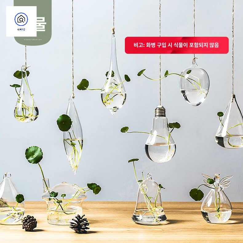 유리 벽걸이 수경화분 인테리어 행잉유리볼 꽃병 - 상세 이미지 2