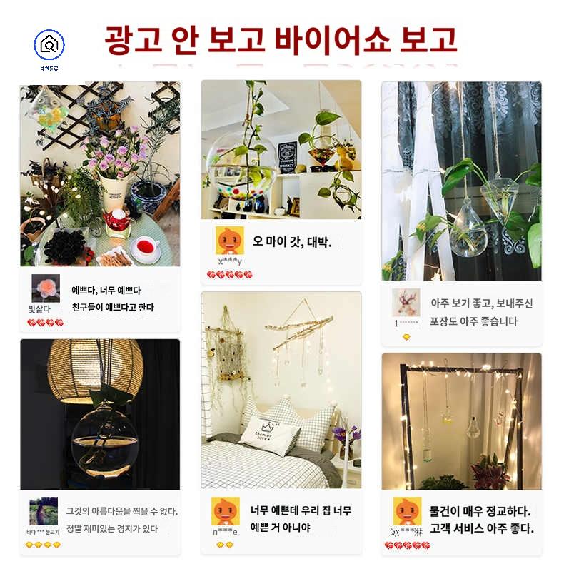 유리 벽걸이 수경화분 인테리어 행잉유리볼 꽃병 - 상세 이미지 4
