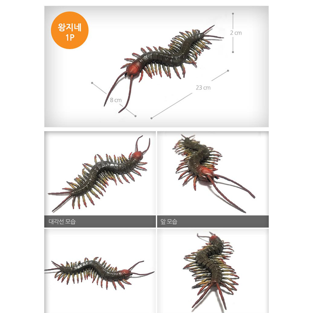 파충류세계 왕거미 왕지네 2종 세트 말랑말랑 실감나는 곤충 동물 인형 장난감 이미지 8