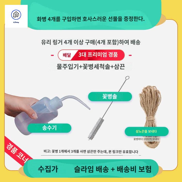 유리 벽걸이 수경화분 인테리어 행잉유리볼 꽃병 - 상세 이미지 3