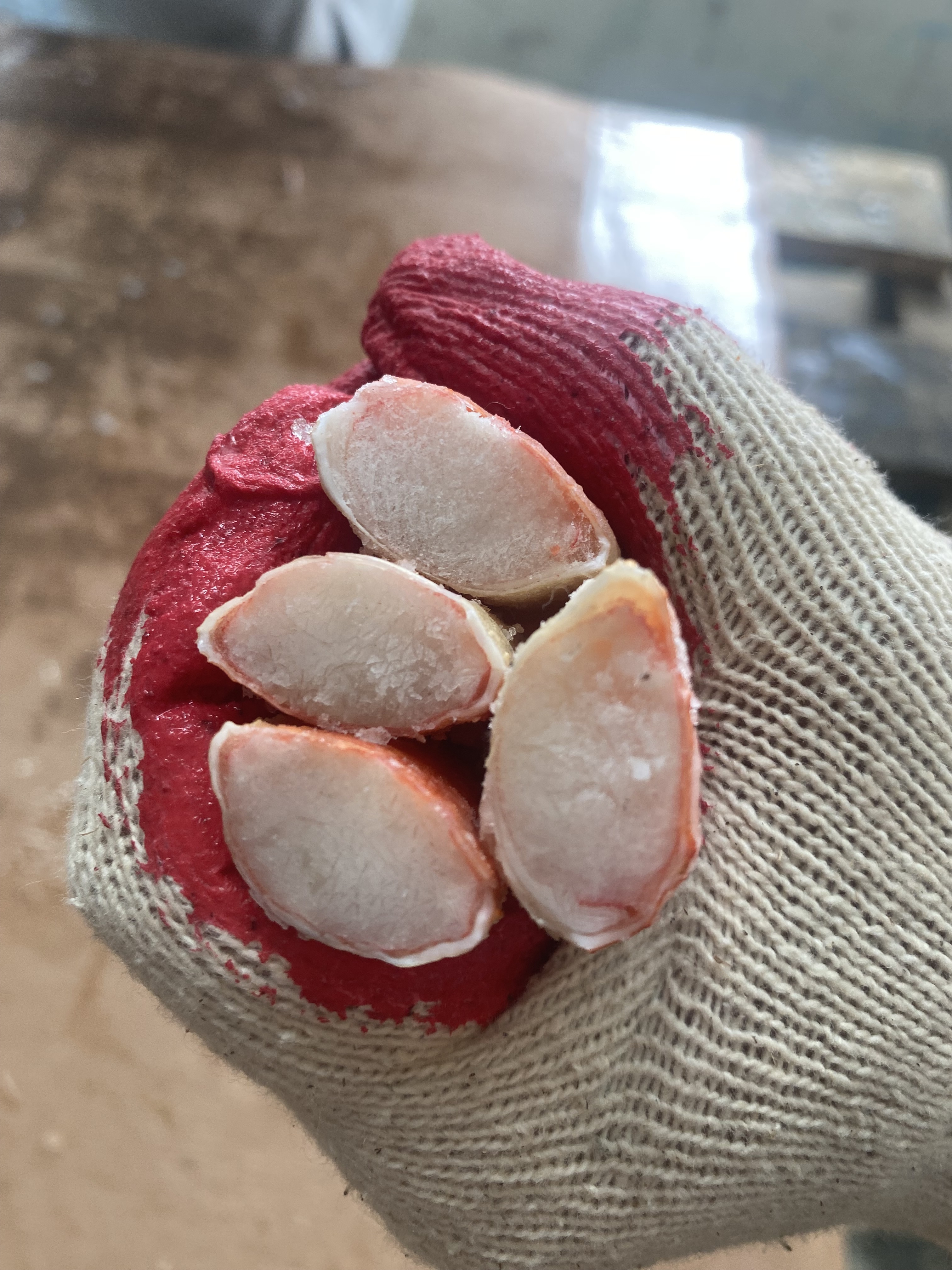 스노우크랩 5kg 러시아대게 냉동 자숙 마가단 대게  L-4L - 상세 이미지 3