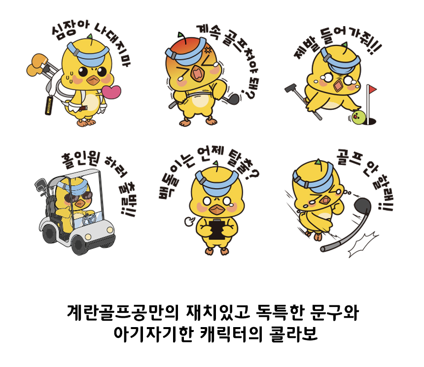 병아리 캐릭터 계란골프공 싱글 홀인원 기념 인쇄 볼빅 비비드콤비 반반골프공 6구 - 상세 이미지 4