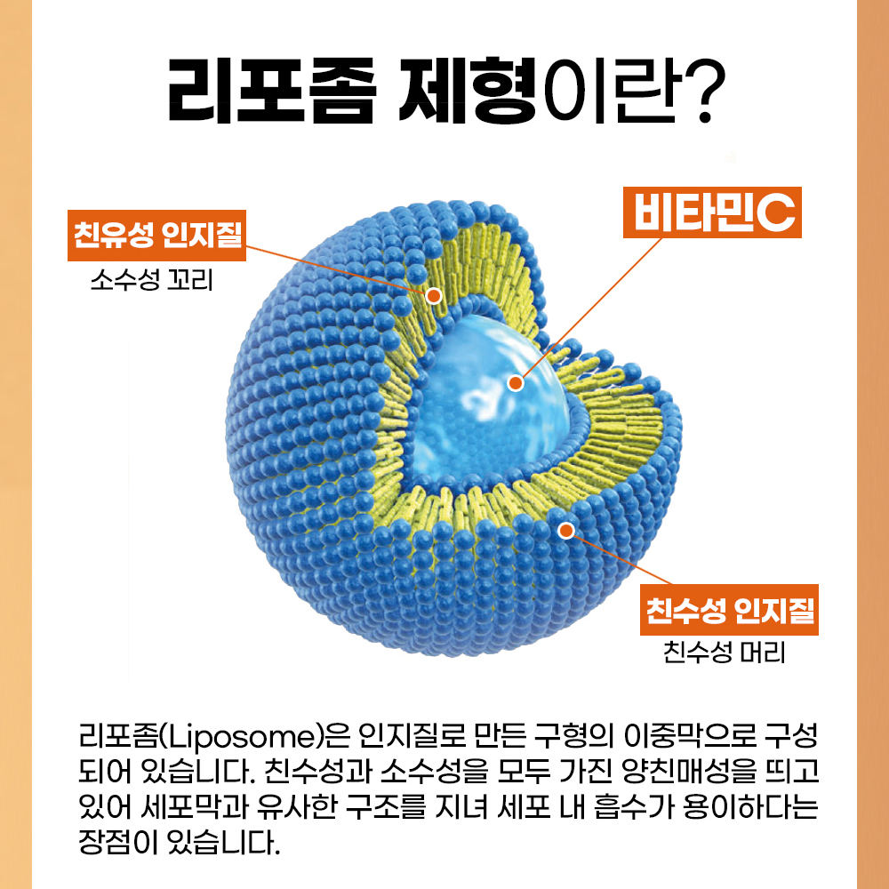 일양약품 리포좀 비타민 C D 플러스 멀티비타민 & 미네랄 영양제 30정 이미지 6