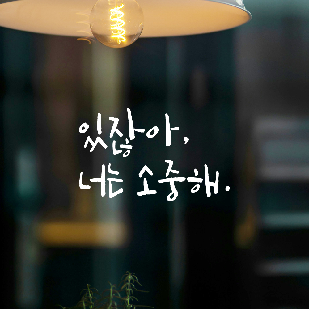인테리어 포인트 그래픽 캘리그라피 레터링 스티커 있잖아 너는 소중해 LC-068S 검정 - 상세 이미지 2